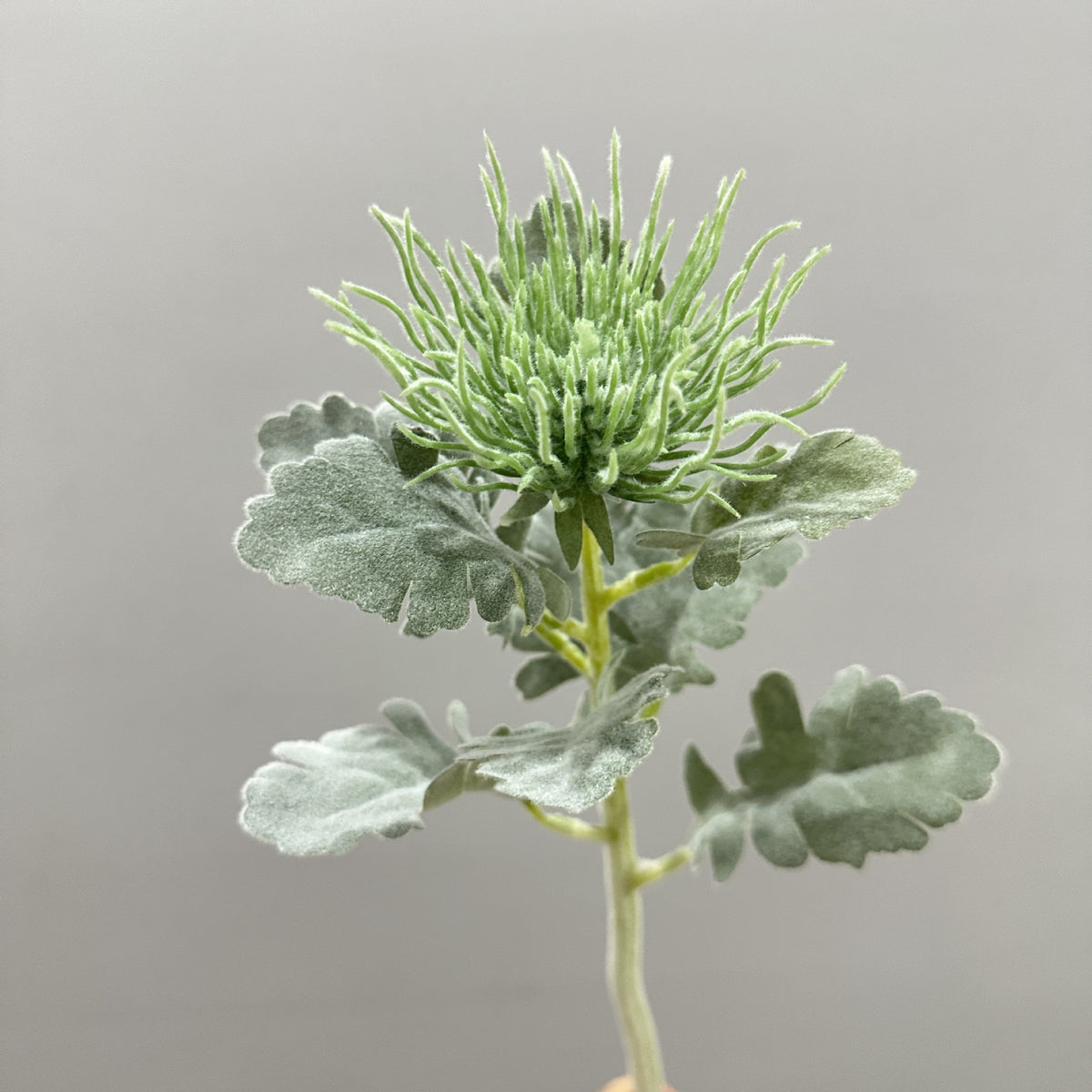 Künstliche Eryngium-Blume, 38 cm hohe Einzelstängel-Deko, Seidenstoff-Blüte für Hochzeiten, Büro und Zuhause