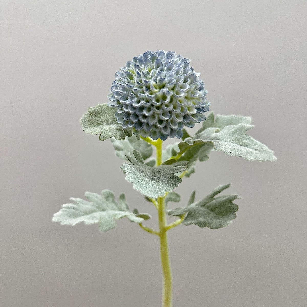 Künstliche Chrysantheme, Single-Stem mit 7 cm Blütenkopf, 37 cm hoch, Flockstoff, für Hochzeitsdekoration und Inneneinrichtung