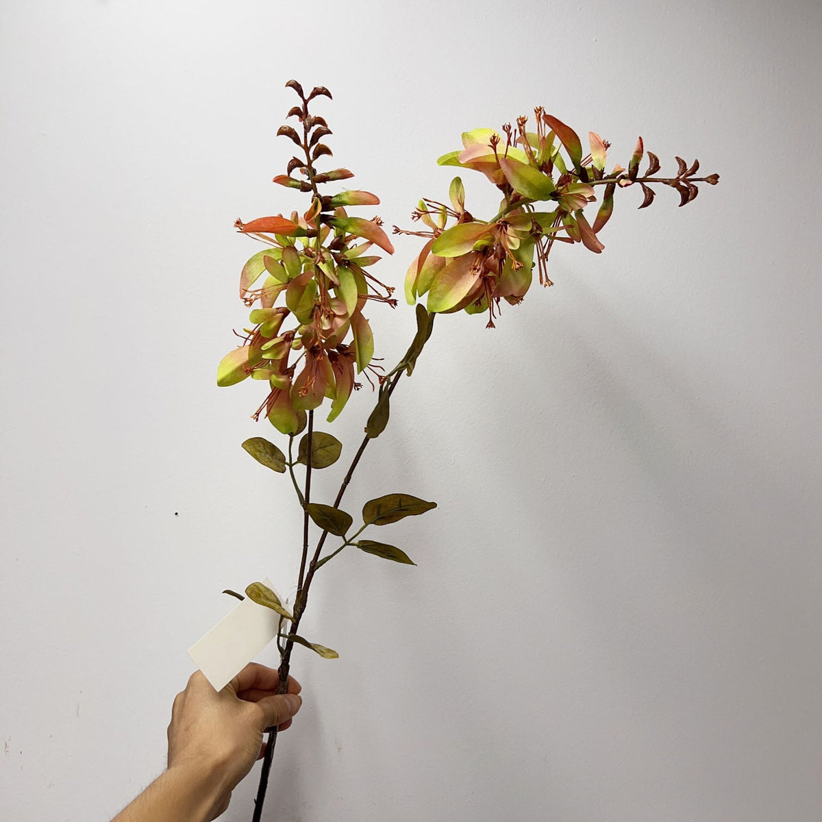 Künstlicher Erythrina-Blütenzweig mit Eukalyptus und Blättern, 83 cm, Einzelstiel aus Seidenstoff