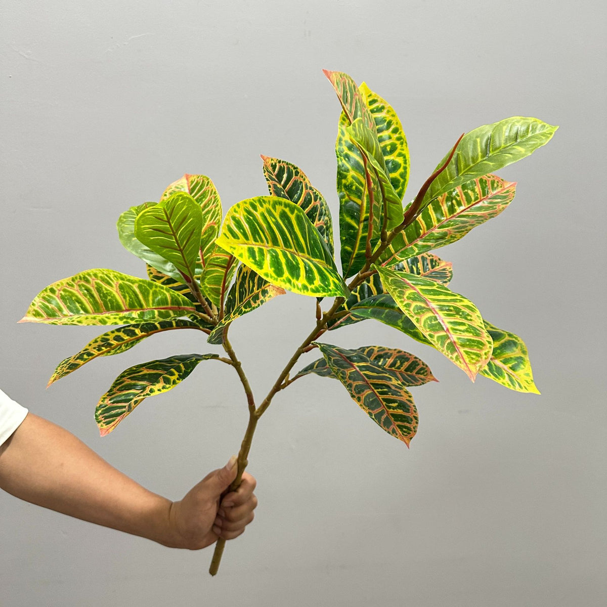 Künstliche Croton-Pflanze, 64 cm, für Innen- und Außenbereich, PE/PVC-Material