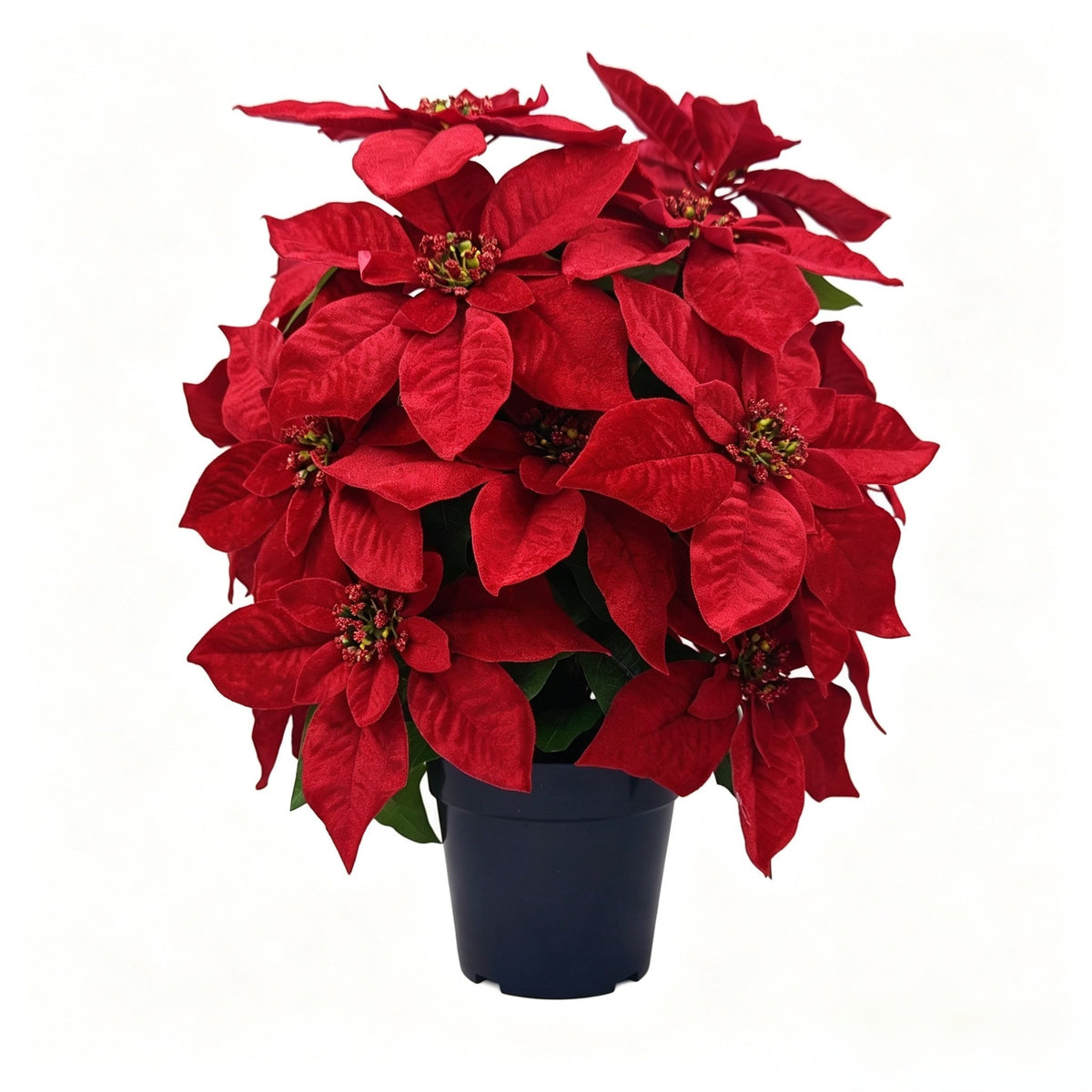 Künstliche Weihnachtssterne, 20 Blüten, 48 cm hoch inkl. Topf, für Innen- und Außenbereich, Weihnachtsdekoration, Hotel, Event, Einzelhandel