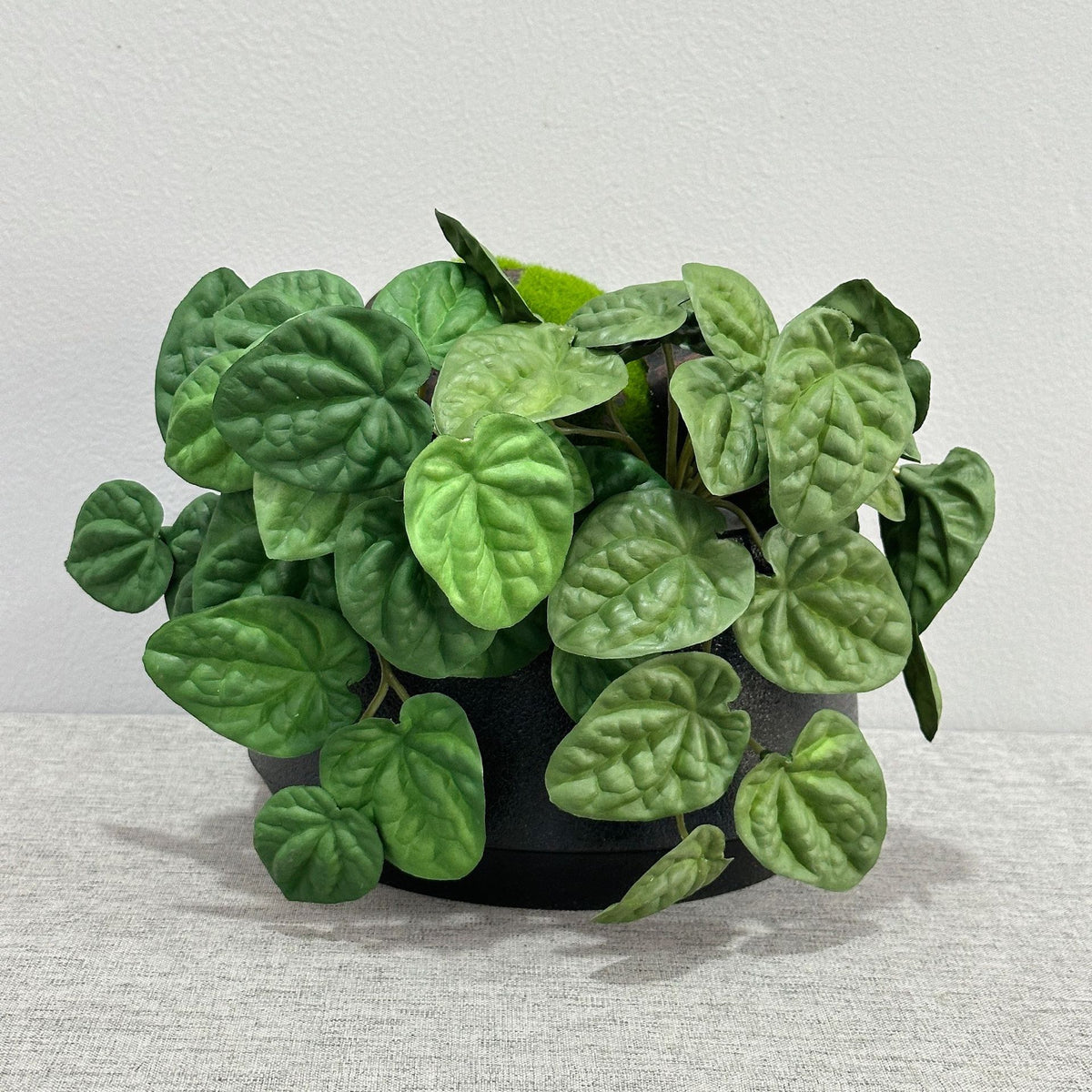 Künstliche Pfefferminzblatt-Pflanze Peperomia, 1 Büschel mit biegsamen Stielen, Kunststoff PE/PVC, für Wohnraum, Hotel und Hochzeit
