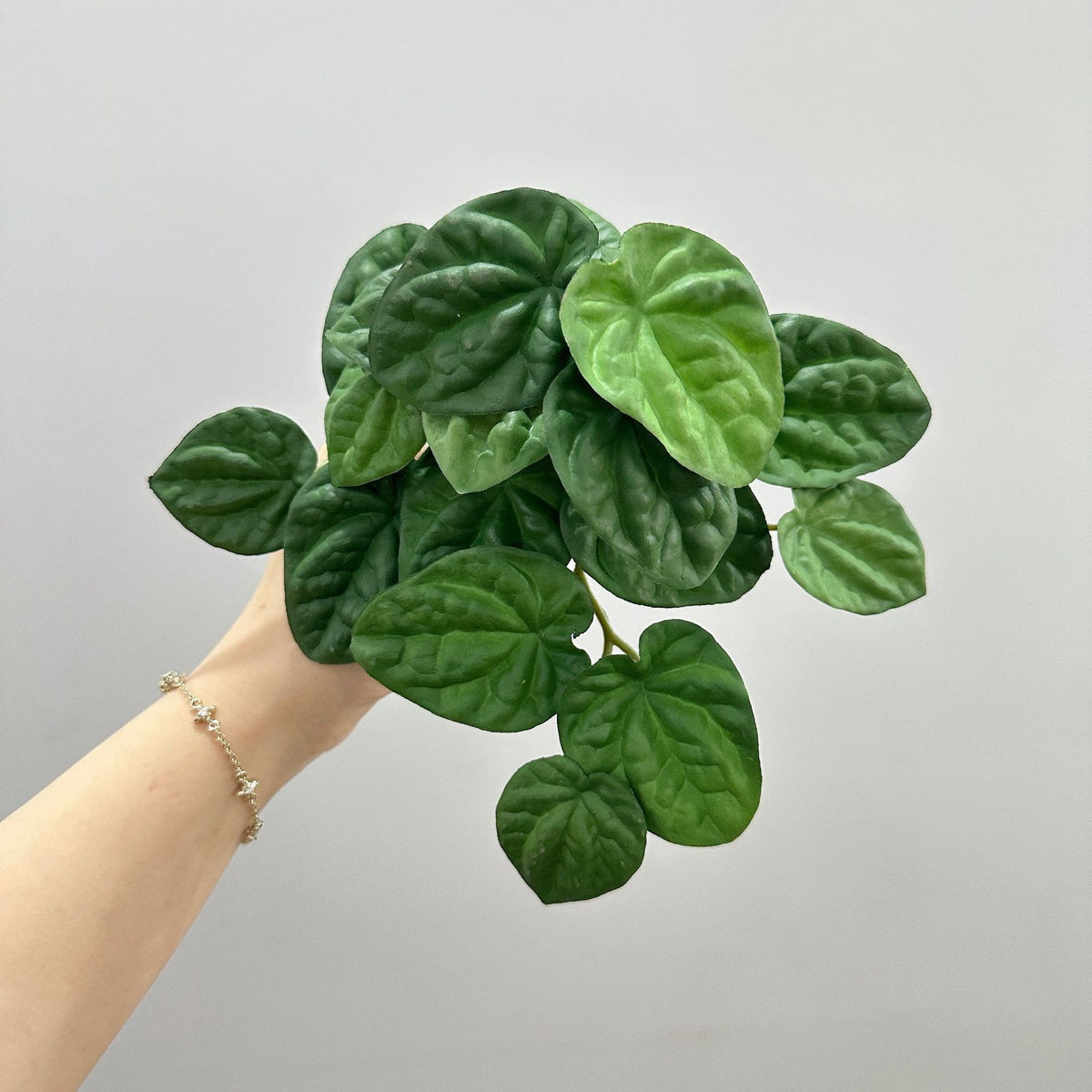 Künstliche Pfefferminzblatt-Pflanze Peperomia, 1 Büschel mit biegsamen Stielen, Kunststoff PE/PVC, für Wohnraum, Hotel und Hochzeit