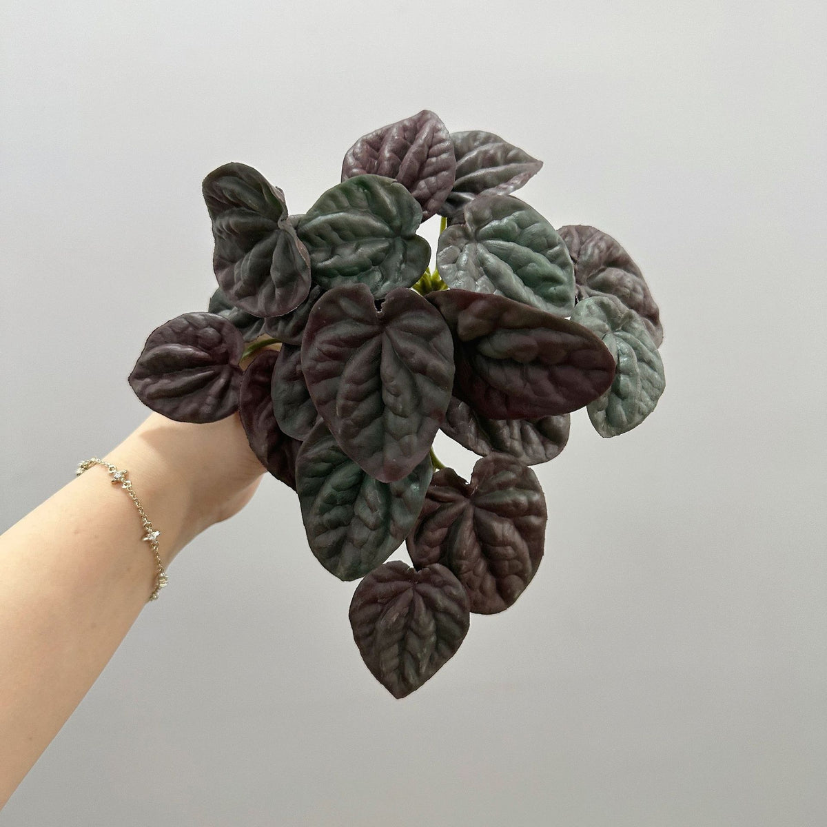 Künstliche Pfefferminzblatt-Pflanze Peperomia, 1 Büschel mit biegsamen Stielen, Kunststoff PE/PVC, für Wohnraum, Hotel und Hochzeit