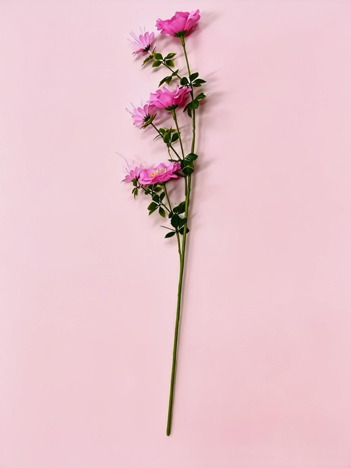 Künstliche Cosmos-Blumen, 1 Strauch mit 6 Blüten, 70 cm hoch, Seidenstoff, für Hochzeit, Dekoration, Gewerbe