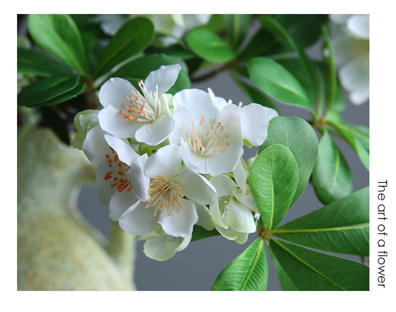 Künstliche Seidenblume Pittosporum (Scheinbeere) – 78 cm Einzelstiel mit 15 Blüten – Modernes Dekoelement für Innenraum, Schaufenster, Hochzeit, Event, Hotel