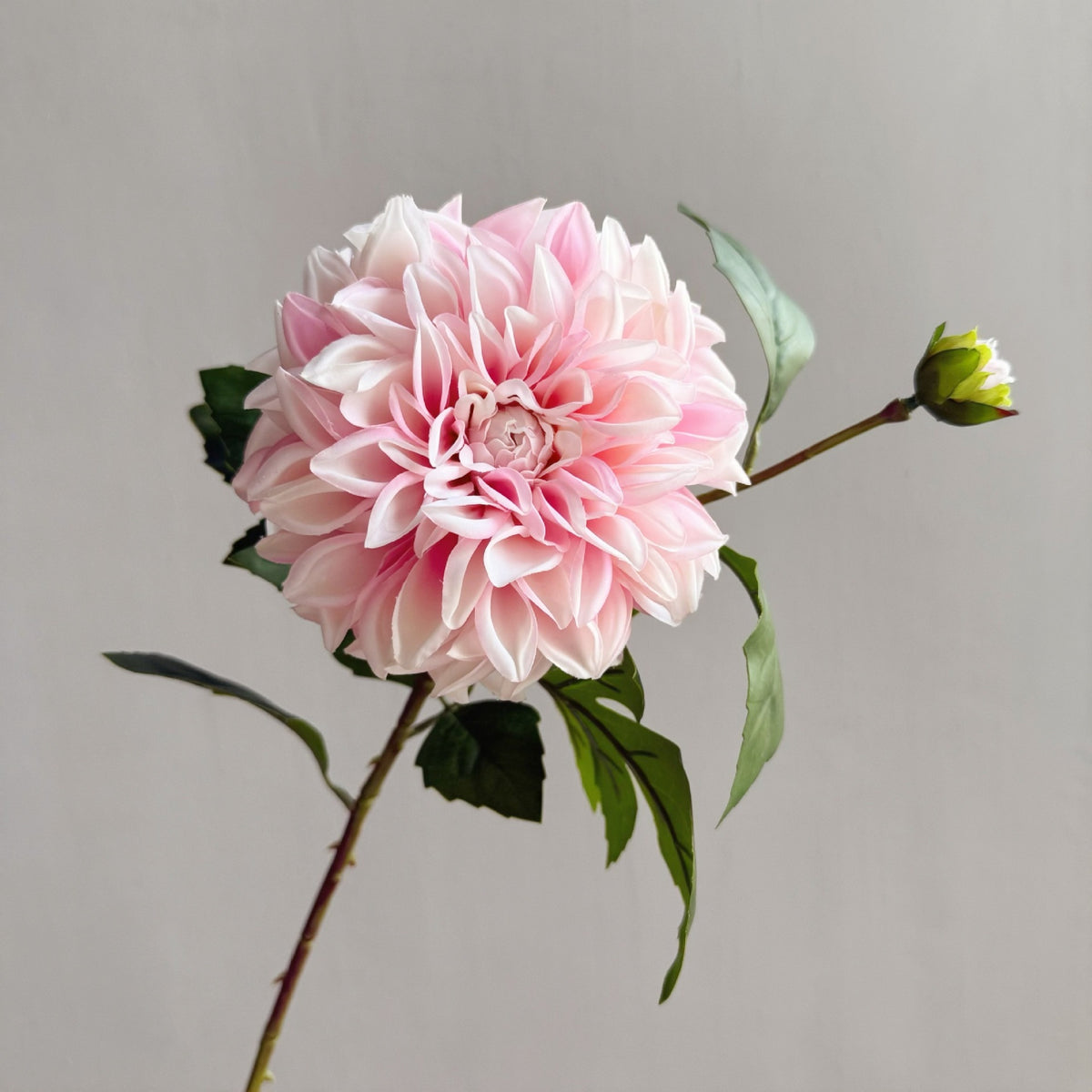 Künstliche Dahlien & Gänseblümchen, 66 cm hoch, 2 Blütenköpfe à 14 cm, aus seidenartigem Polyesterstoff, für Innendekoration