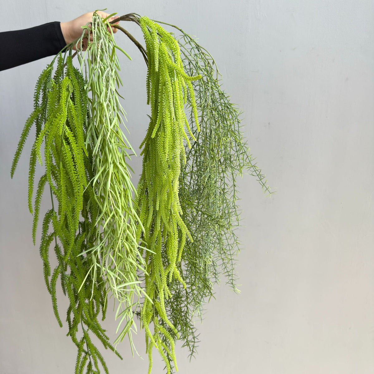 Künstliche Hängepflanze, Asparagus Farn, 90 cm Länge, für Wohnraum und Büro