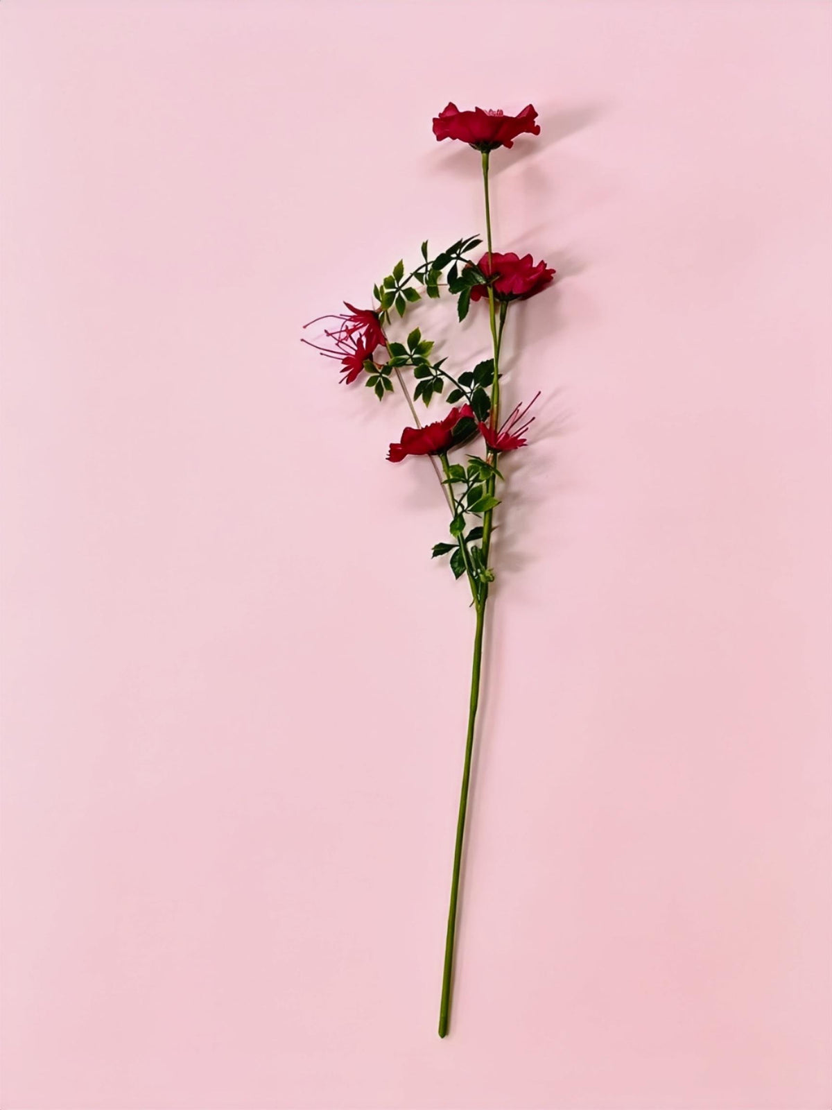 Künstliche Cosmos-Blumen, 1 Strauch mit 6 Blüten, 70 cm hoch, Seidenstoff, für Hochzeit, Dekoration, Gewerbe