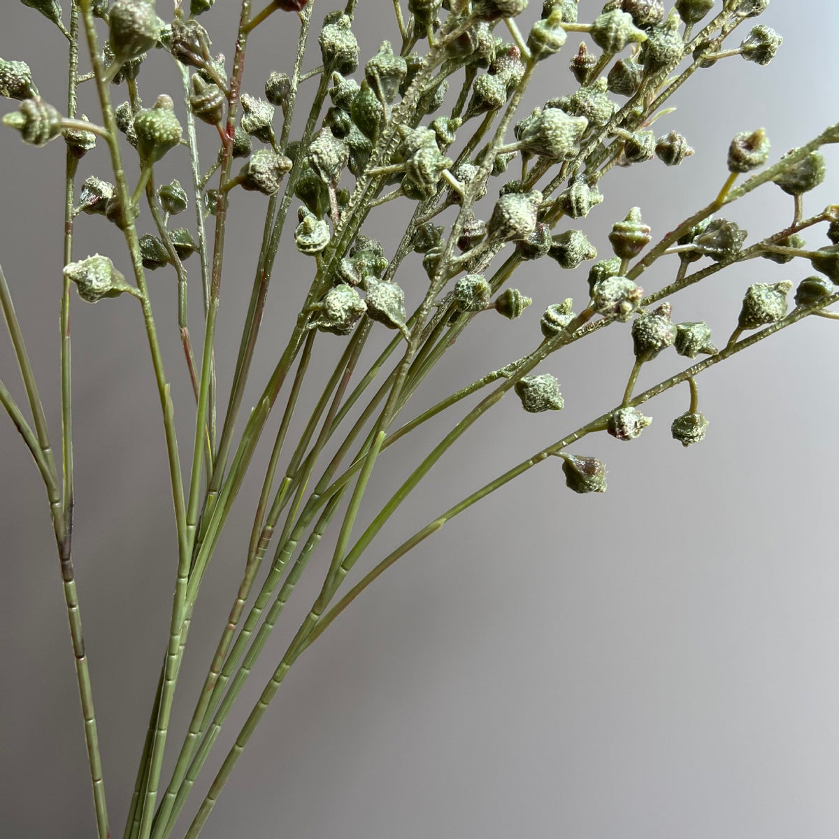 Kunstpflanze Eukalyptus mit Früchten, Bund mit 3 Zweigen, 5er-Pack, Kunststoffzweige, Hochzeit, Schaufenster, Hotel