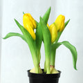 Real Touch Kunstblumen Tulpen 26cm - Fotorealistische Pflanze im Topf, Täuschend Echte Deko-Blumen für Zuhause, Büro & Fensterbank