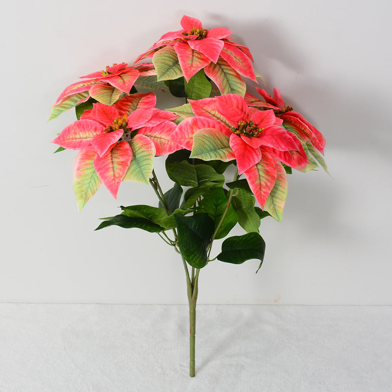 Weihnachtsstern künstlich groß – 5 Stiele Samt-Poinsettie mit Real-Touch, 51 cm für festliche Vase, Gesteck & Weihnachtsdeko (Vase nicht enthalten)