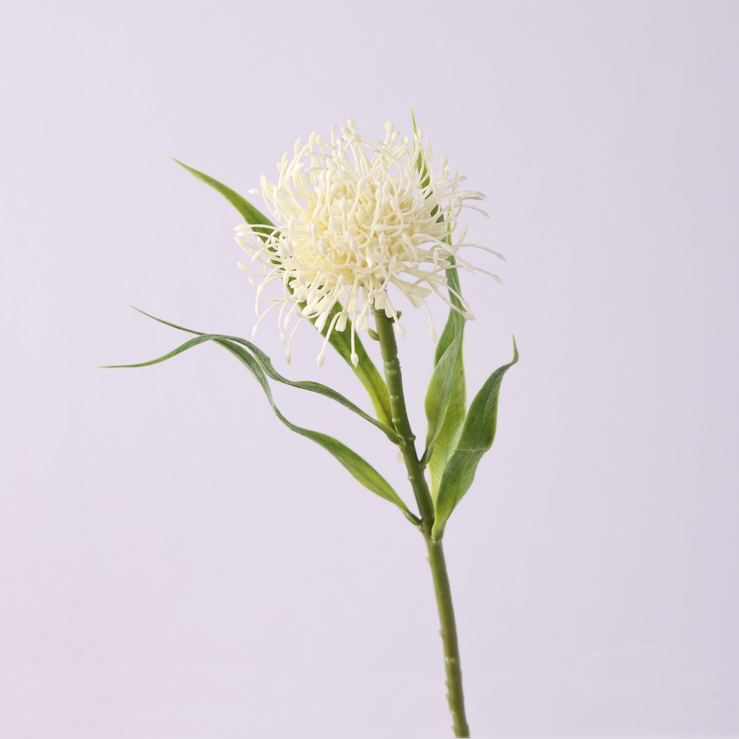 Weicher Latex Spinnen Chrysanthemen Stiel UV-beständige Blumenarrangement