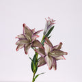 75 cm künstliche Lilien Tischzentren-Arrangements für Hochzeiten, zu Hause, Parties, Gärten und Büros als Dekoration