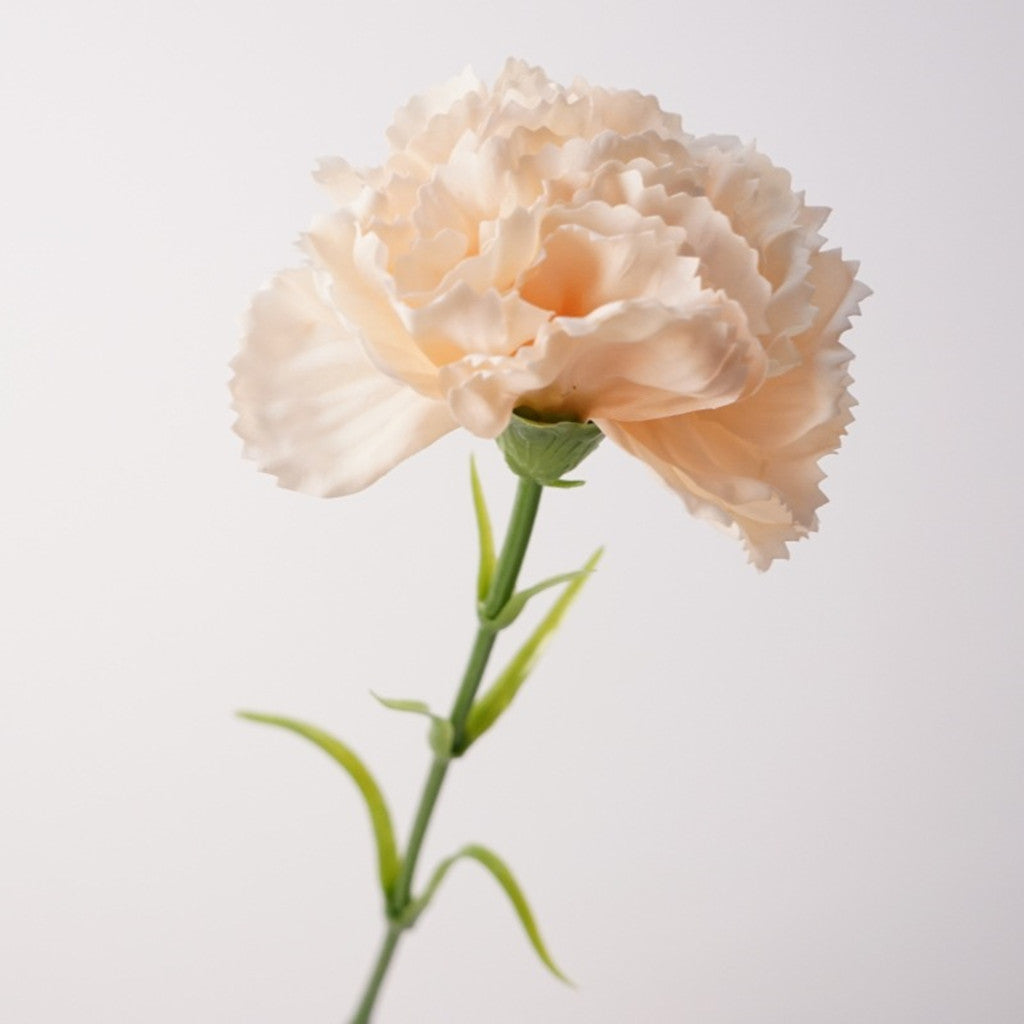 Real Touch Nelken 50 cm, Täuschend Echte Kunstblume mit Stiel, Premium Seidenblume für Hochzeit, Floristik & Vasen-Deko, langlebig