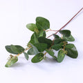 60 cm lange Pappel-Eukalyptus-Zweige – Für Blumenarrangements