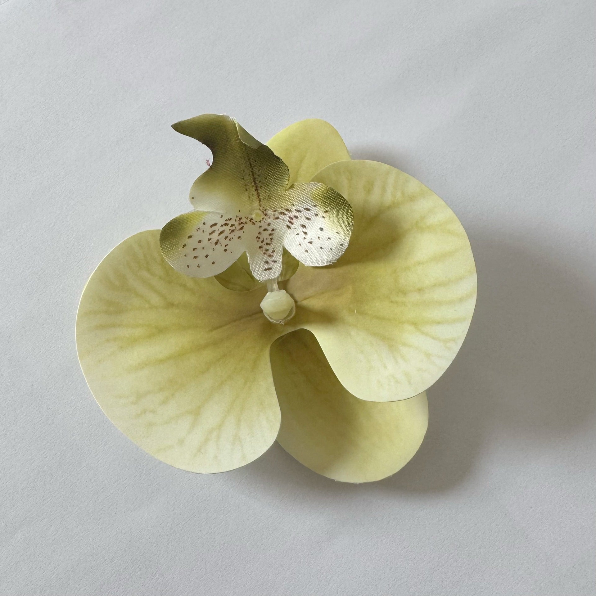 24 Stücke Orchideen-Dekorationen | Real Touch PU Künstliche Blumen | Orchideenköpfe & Künstliche Phalaenopsis-Blumenköpfe für DIY-Kunsthandwerk, Heim- und Hochzeitsdekoration