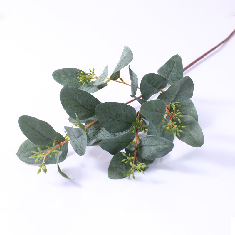 60 cm lange Pappel-Eukalyptus-Zweige – Für Blumenarrangements
