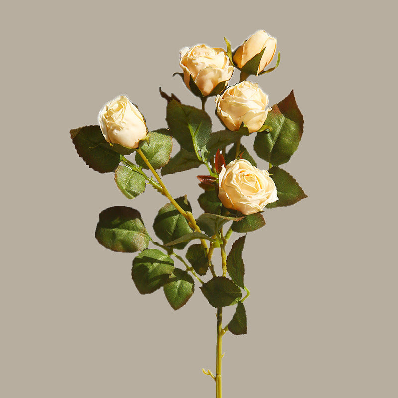 40 cm Künstliche Seidenrosen | Vintage Burnt-Edge Rosen | 5 Blüten pro Stiel | Hochzeits- & Herbstdeko | 6 Farben