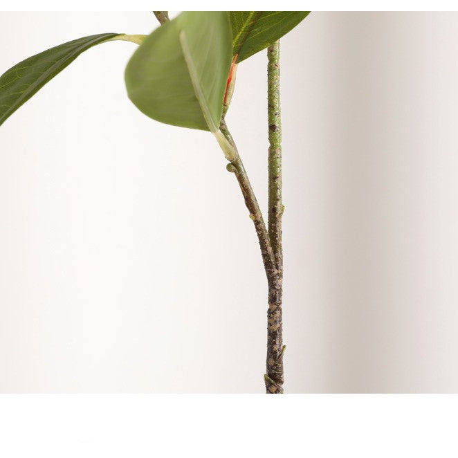 8 Stücke 80 cm künstliche Zitronenblattzweige – künstliche Grünzweige zur Heimdekoration