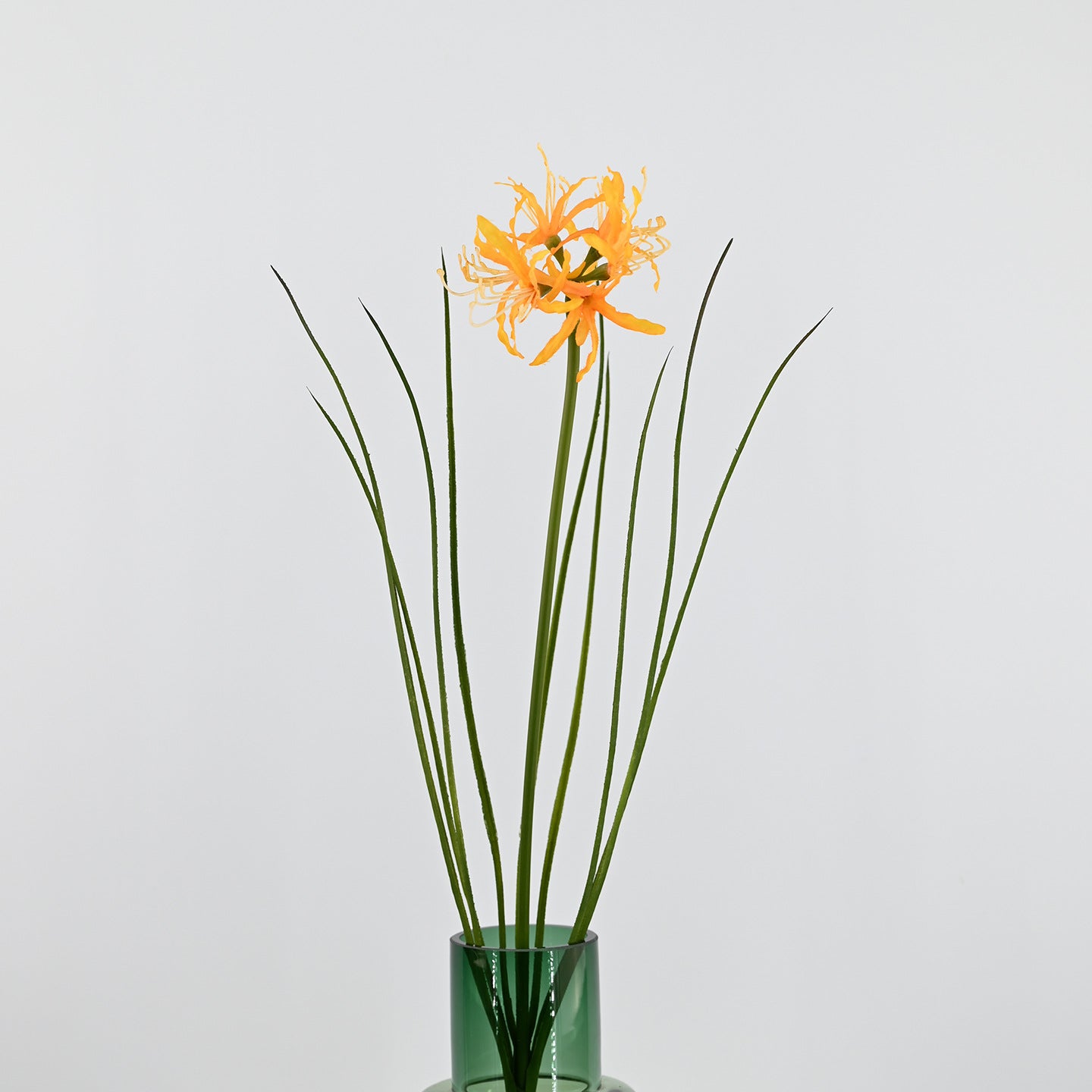 56 cm Künstliche Lycoris-Blume realistisch & pflegeleicht für Vase oder Dekoration
