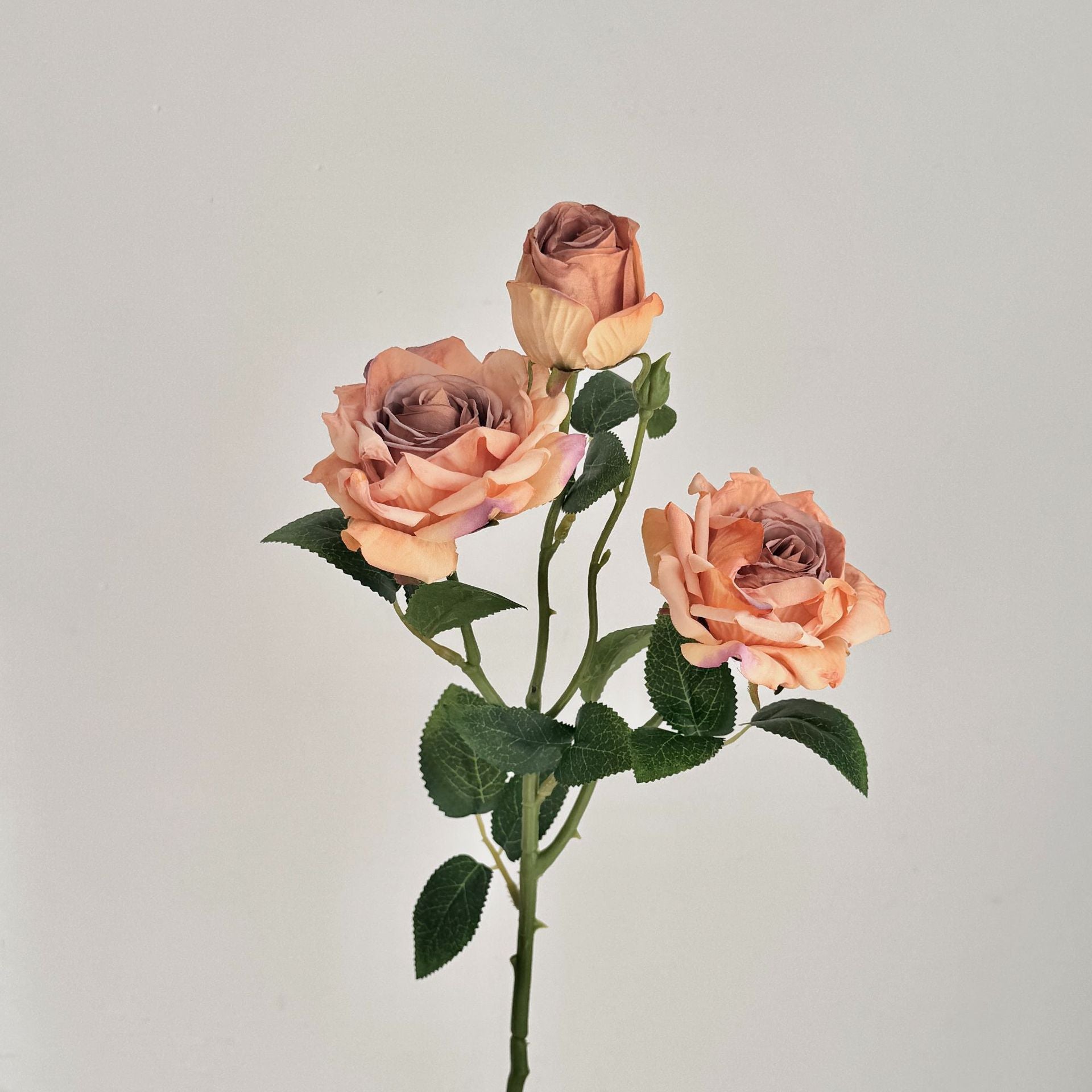 55 cm Vintage Decorative Roses with 3 Heads & Burnt Edges - Ideal for Autumn Winter Decoration