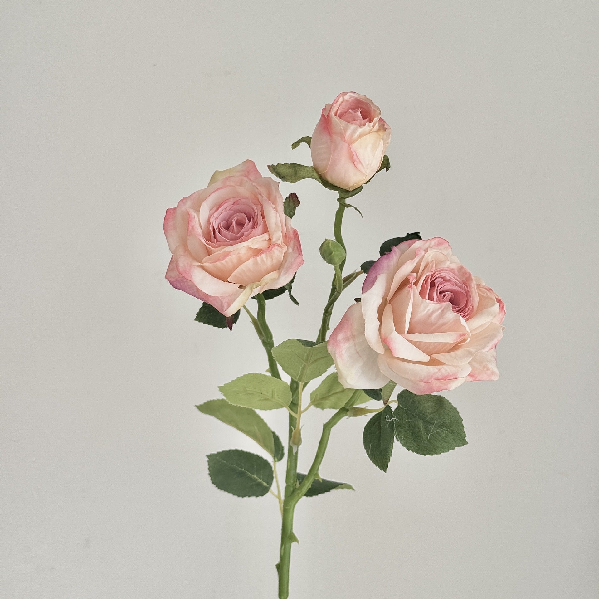 55 cm Vintage Decorative Roses with 3 Heads & Burnt Edges - Ideal for Autumn Winter Decoration