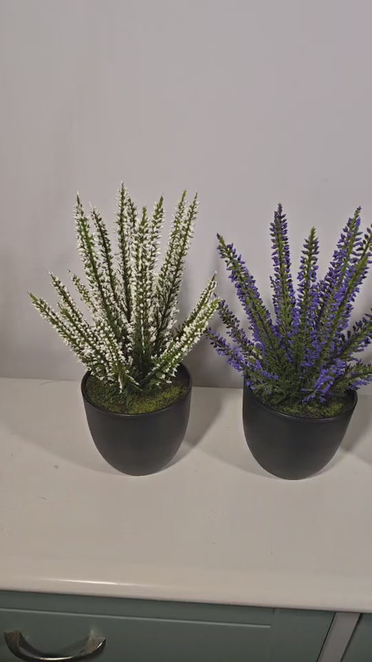 künstliche Erika 24cm, Kunstpflanze UV-beständig, mit Topf, für Ihre Herbstdeko, den Balkon & geschützten Außenbereich