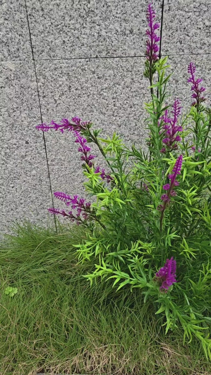 57 cm künstliche Erika/Erikabusch/Heidekraut mit 24 Stielen