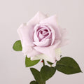 Premium Kunstrose 71 cm – Echt fühlbare Real-Touch Blüte, lebensechte Rosenstiel für Vase, Hochzeitsdeko & Zuhause
