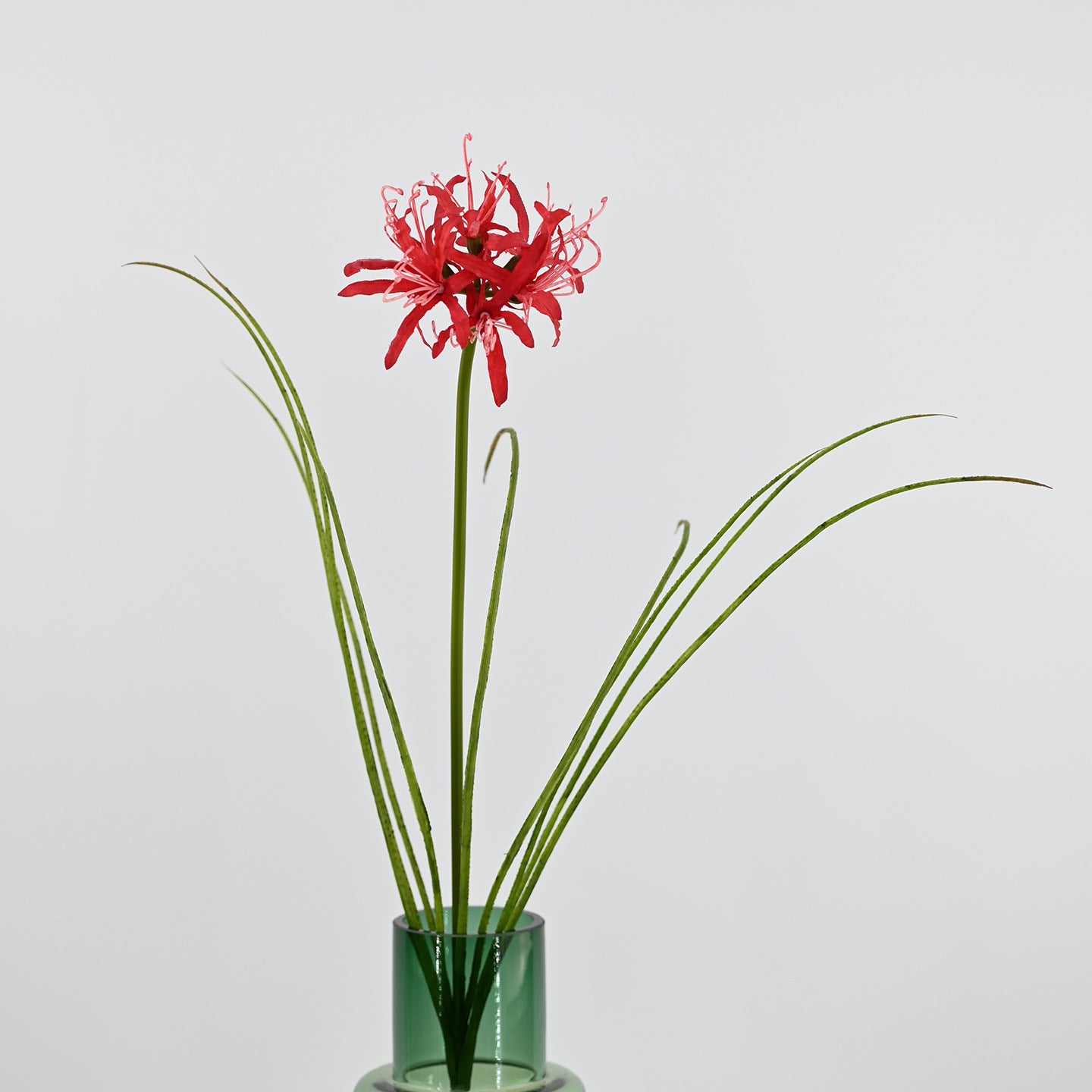 56 cm Künstliche Lycoris-Blume realistisch & pflegeleicht für Vase oder Dekoration