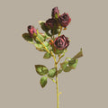 40 cm Künstliche Seidenrosen | Vintage Burnt-Edge Rosen | 5 Blüten pro Stiel | Hochzeits- & Herbstdeko | 6 Farben