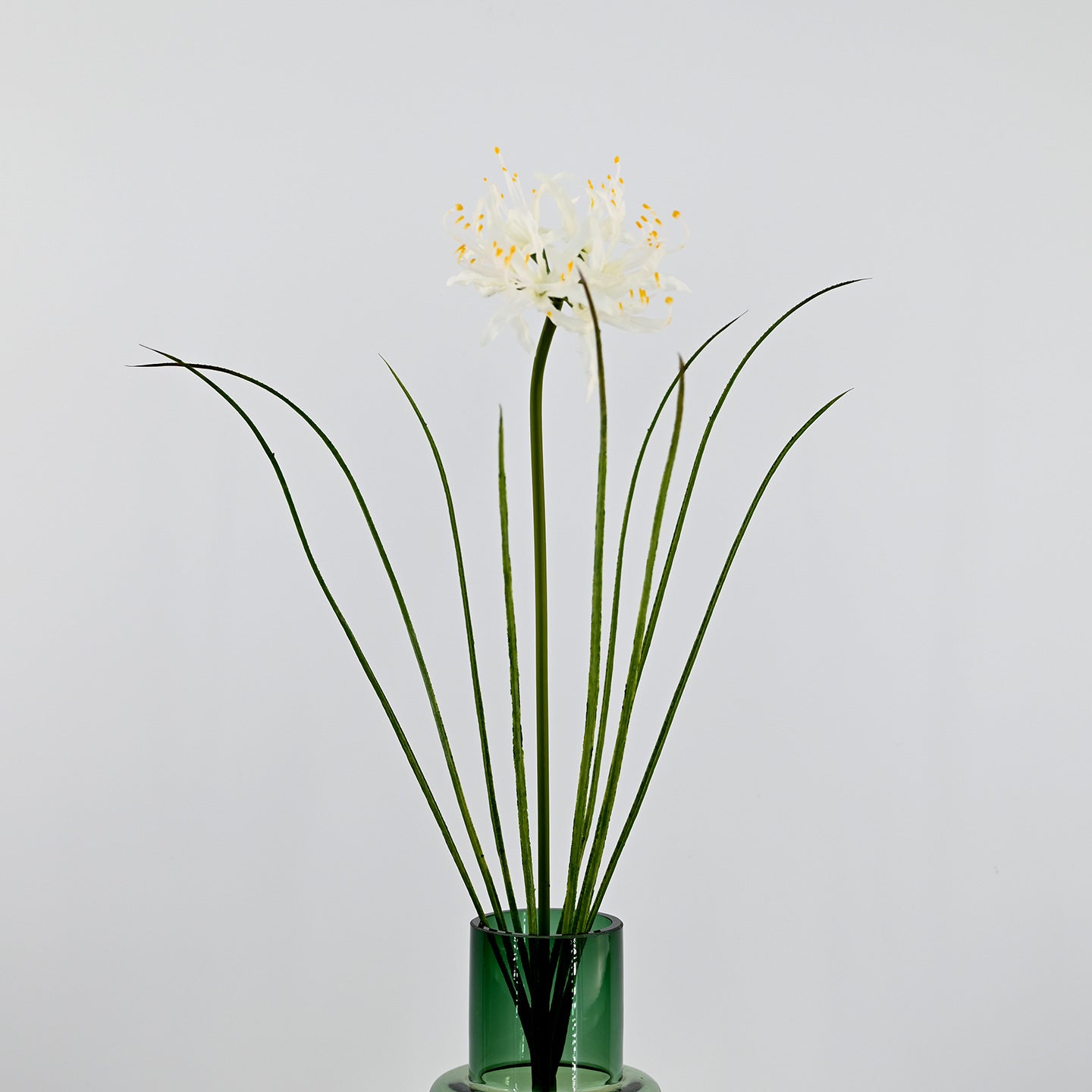 56 cm Künstliche Lycoris-Blume realistisch & pflegeleicht für Vase oder Dekoration