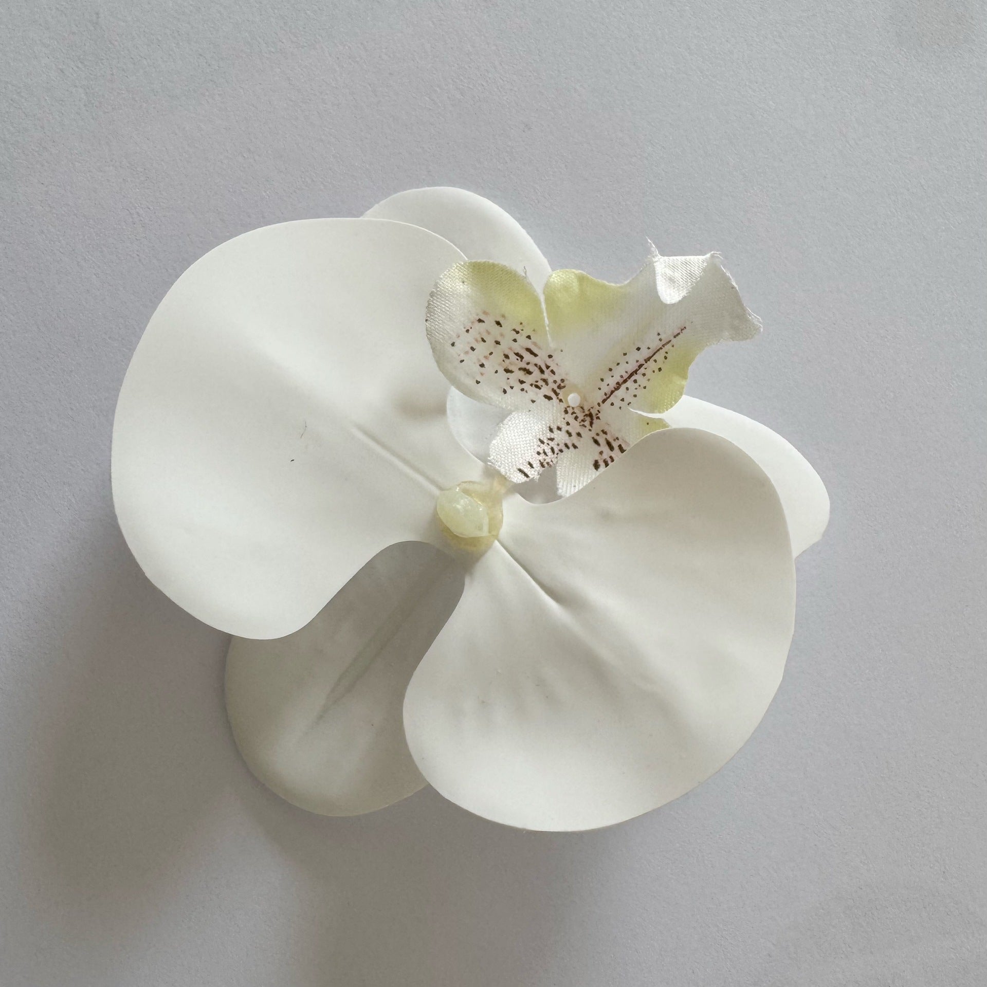 24 Stücke Orchideen-Dekorationen | Real Touch PU Künstliche Blumen | Orchideenköpfe & Künstliche Phalaenopsis-Blumenköpfe für DIY-Kunsthandwerk, Heim- und Hochzeitsdekoration