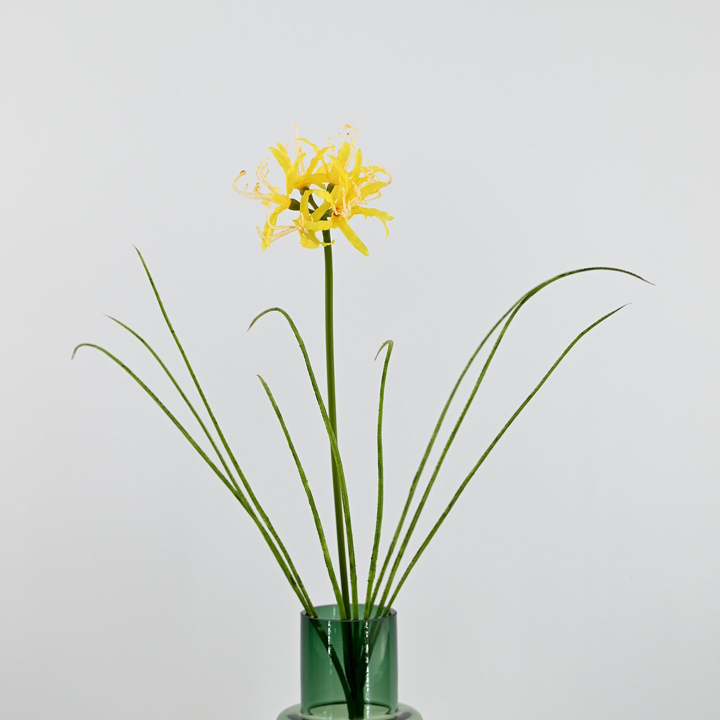 56 cm Künstliche Lycoris-Blume realistisch & pflegeleicht für Vase oder Dekoration