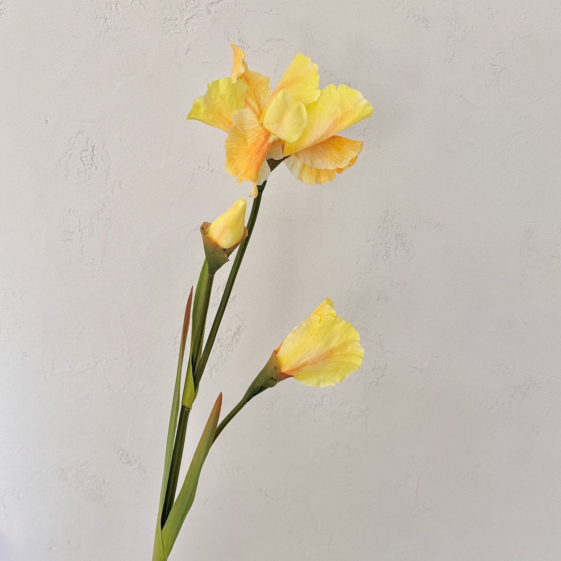 80 cm künstliche Schwertlilien - Perfect für Oktoberfest & Hausdekoration